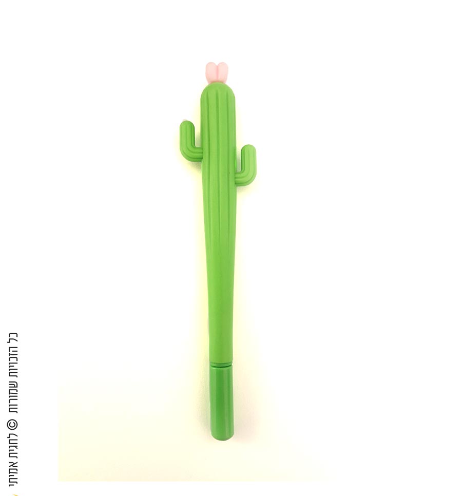 עט קקטוס ירוק עם פרח ורוד